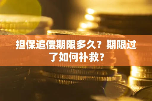 武汉担保追偿期限多久？期限过了如何补救？