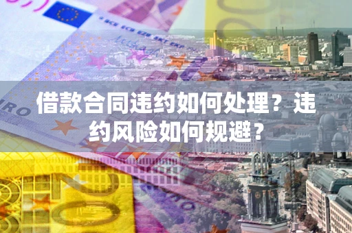 武汉借款合同违约如何处理？违约风险如何规避？