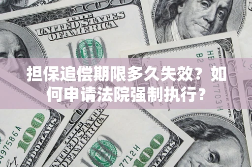 武汉担保追偿期限多久失效？如何申请法院强制执行？
