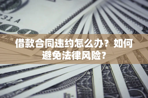 武汉借款合同违约怎么办？如何避免法律风险？