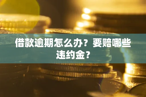 武汉借款逾期怎么办？要赔哪些违约金？